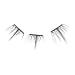Kiss imPRESS Press-On Falsies Eyelash Clusters, Modern Natural 12 ct - Discover Premium Quality Shop now! - Buy Online on GoSupps.com