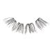 Kiss The New Natural Trio False Eyelashes, Noir - Discover Premium Quality Shop now! - Buy Online on GoSupps.com