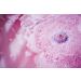 LUSH Best Of Bath Bombs Bath Bomb Duo - Discover Premium Quality Shop now! - Buy Online on GoSupps.com