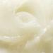 Discover Mario Badescu Lip Mask with Coconut and Mango 0.5 oz - Elevate Your Style Instantly! - Buy Online on GoSupps.com