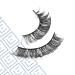Discover Eylure Volume No. 114 Salon Extension Look Eyelashes - Elevate Your Style Instantly! - Buy Online on GoSupps.com