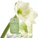 Discover Touchland Gentle Mist Lily Of The Valley Ultra-Soothing Hand Sanitizer 1 oz - Elevate Your Style Instantly! - Buy Online on GoSupps.com