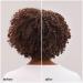 Ouidad Botanical Boost Multi-Use Curl Foam 7.0 oz - Transform Your Style with the Best Innovation Today! - Buy Online on GoSupps.com