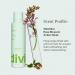 Discover Divi Dry Shampoo 5.3 oz - Elevate Your Style Instantly! - Buy Online on GoSupps.com