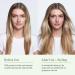 Discover Divi Dry Shampoo 5.3 oz - Elevate Your Style Instantly! - Buy Online on GoSupps.com
