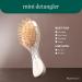 Discover EcoTools Mini Detangler Paddle Hairbrush - Elevate Your Style Instantly! - Buy Online on GoSupps.com