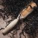 Discover EcoTools Curl Activating Detangler Hairbrush - Elevate Your Style Instantly! - Buy Online on GoSupps.com