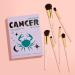 Discover Spectrum Cancer 6-Piece Makeup Brush Set - Elevate Your Style Instantly! - Buy Online on GoSupps.com