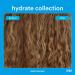 Verb Hydrate Shampoo for Dry and Frizzy Hair 12.0 oz - Transform Your Style with the Best Innovation Today! - Buy Online on GoSupps.com