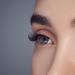 Discover Kiss Falscara Starter Kit, Lash Clusters, Lengthening Wisps 36 ct - Elevate Your Style Instantly! - Buy Online on GoSupps.com