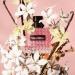 Valentino Donna Born in Roma 3 Piece Travel Perfume Gift Set - Discover Premium Quality Shop now! - Buy Online on GoSupps.com