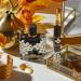 NEST New York Golden Nectar Eau de Parfum 1.7 oz - Transform Your Style with the Best Innovation Today! - Buy Online on GoSupps.com