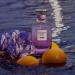 Discover Coach Dreams Moonlight Eau de Parfum Travel Spray 0.33 oz - Elevate Your Style Instantly! - Buy Online on GoSupps.com