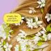 Discover Pacifica Jasmine Agave Strength + Shine Conditioner 8.0 oz - Elevate Your Style Instantly! - Buy Online on GoSupps.com