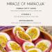 Tarte Maracuja Juicy Lip Try-Me Trio - Transform Your Style with the Best Innovation Today! - Buy Online on GoSupps.com