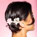 GIMME beauty Fine Hair Small Flowers Claw Clip - Discover Premium Quality Shop now! - Buy Online on GoSupps.com
