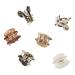 Discover ScÃ¼nci Primp 2.5cm Claw Clips 6 ct - Elevate Your Style Instantly! - Buy Online on GoSupps.com