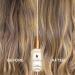 L'anza Hair Healing Trio - Transform Your Style with the Best Innovation Today! - Buy Online on GoSupps.com