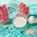 Discover Essence Live Life In Coral Mattifying Powder Smilin' From Shore To Reef! (translucent) - Elevate Your Style Instantly! - Buy Online on GoSupps.com