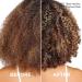 L'OrÃ©al EverPure Sulfate Free Frizz Defy Shampoo 8.5 oz - Transform Your Style with the Best Innovation Today! - Buy Online on GoSupps.com