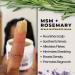 Discover Qhemet Biologics MSM + ROSEMARY Scalp Nutrients Balm 4.0 oz - Elevate Your Style Instantly! - Buy Online on GoSupps.com