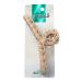 Discover ScÃ¼nci Fall Neutrals Beige Claw Clip 1 ct - Elevate Your Style Instantly! - Buy Online on GoSupps.com