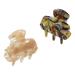Discover ScÃ¼nci Primp 3.5cm Acrylic Claw Clips 2 ct - Elevate Your Style Instantly! - Buy Online on GoSupps.com