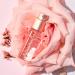 Discover Snif Rose Era Eau de Toilette Travel Spray 0.33 oz - Elevate Your Style Instantly! - Buy Online on GoSupps.com