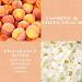 HomeWorx Jasmine & White Peach Candle and Reed Stick Diffuser Gift Set - Transform Your Style with the Best Innovation Today! - Buy Online on GoSupps.com
