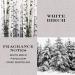 Discover HomeWorx White Birch Candle and Reed Stick Diffuser Gift Set - Elevate Your Style Instantly! - Buy Online on GoSupps.com