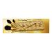 MAC Golden Touch Mini Makeup Brush Gift Set - Discover Premium Quality Shop now! - Buy Online on GoSupps.com