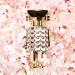 Rabanne Fame Eau de Parfum and Fame Parfum Mini Duo Gift Set - Transform Your Style with the Best Innovation Today! - Buy Online on GoSupps.com