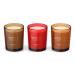 Discover HomeWorx Holiday Candle Collection Set of 3 3.5 oz - Elevate Your Style Instantly! - Buy Online on GoSupps.com