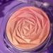 Discover Essence In The Bloom'Light Blushlighter Made Of Stardust (soft pink shimmer) - Elevate Your Style Instantly! - Buy Online on GoSupps.com