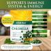 Chlorella Tablets Mega-Pack 1000 - Raw Cracked Cell, Non-GMO, 100% Pure Pyrensoidosa - High Protein Superfood with Chlorophyll & Nucleic Acids - No Fillers - Buy Online on GoSupps.com