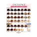 L'Oreal Paris Excellence Creme Paint 2 Pieces 5 Brown - Buy Online on GoSupps.com