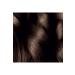 Garnier Striking Colors Hair Dye Intense Brown No. 4.0 - Buy Online on GoSupps.com