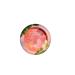 Physicians Formula Monoi Butter Blush Mauvy Mattes Blush - Buy Online on GoSupps.com