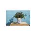 Petal Fresh Lavender Soothing Hand and Body Lotion 355 ml 713708725136 - Buy Online on GoSupps.com