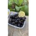 MAIN OLIVE Natural Fermented Gemlik Tirilye Black Olive Advantage 3 Pack 3x1 Kg (S) - Buy Online on GoSupps.com