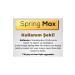 SPRINGMAX Appetite Stimulant - Weight Gainer - Nutritional Support - Banana and Cocoa Flavored - Weight Gainer (Set of 1) - Buy Online on GoSupps.com