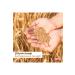 Reis Legumes Reis Black Beans 1000 gr - Buy Online on GoSupps.com
