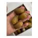 Beyisa Oak Acorn Eastern Chestnut Acorn Nut 1 Kg Acorn - Buy Online on GoSupps.com