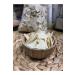  afak Handmade Tatar Pastry - Buy Online on GoSupps.com