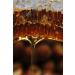 OZMU BAL Sivas Organic Karakovan Honey 2.5-3kg - Buy Online on GoSupps.com