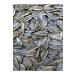 Huzur Dried Nuts Sunflower Seeds 5kg 1st quality Sunflower Seeds Black Seeds Sunflower Seeds - Buy Online on GoSupps.com