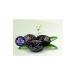 Alan zel Special Oily Olive 2 Kg 201-230 - Buy Online on GoSupps.com