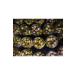 Bafak y Milas Oil Olive 600 Gr - Buy Online on GoSupps.com
