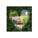Ginger Organic Teff Seed Tea Original Tef Seed Tea - Buy Online on GoSupps.com