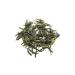 Mim Tea Sencha Tea Pure Japanese Green Tea 100 gr - Buy Online on GoSupps.com